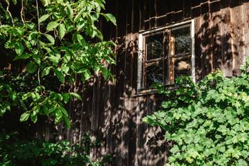 Bauernhof für 6 Personen in Neuschönau, Ostbayern, Bild 2