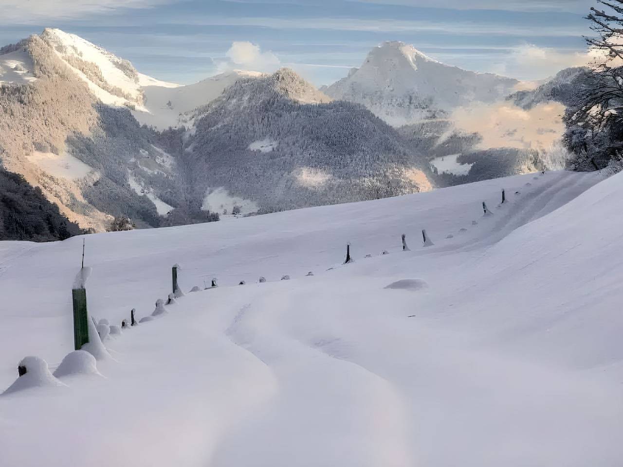 Biohotel Schwanen - Schwanen I in Bizau, Bregenzerwald