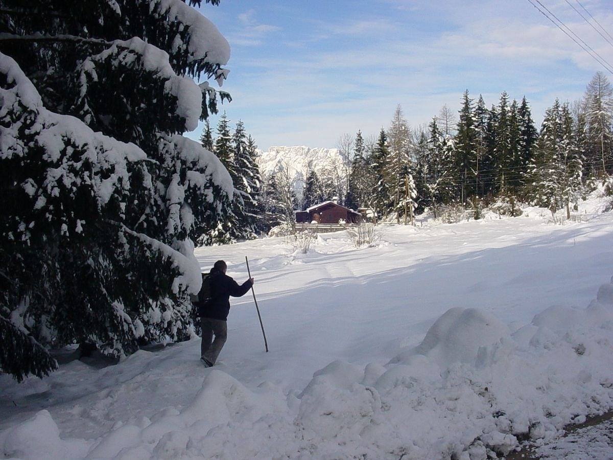 Kappacher Hütte in Salzkammergut-Berge, Bad Vigaun