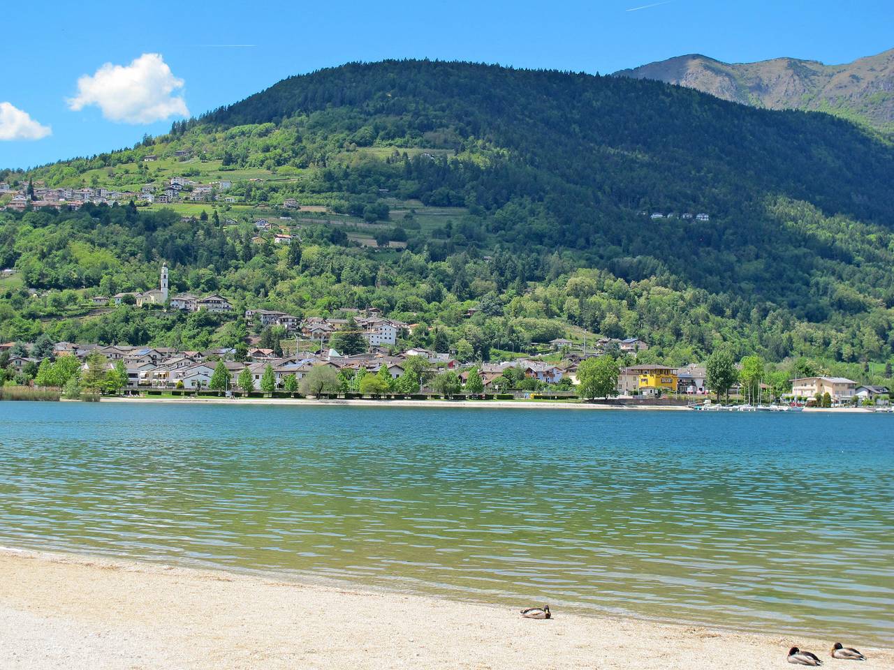 Martinelli, foto 12