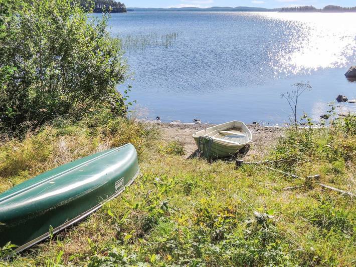Kolin mesikämmen in Pielinen