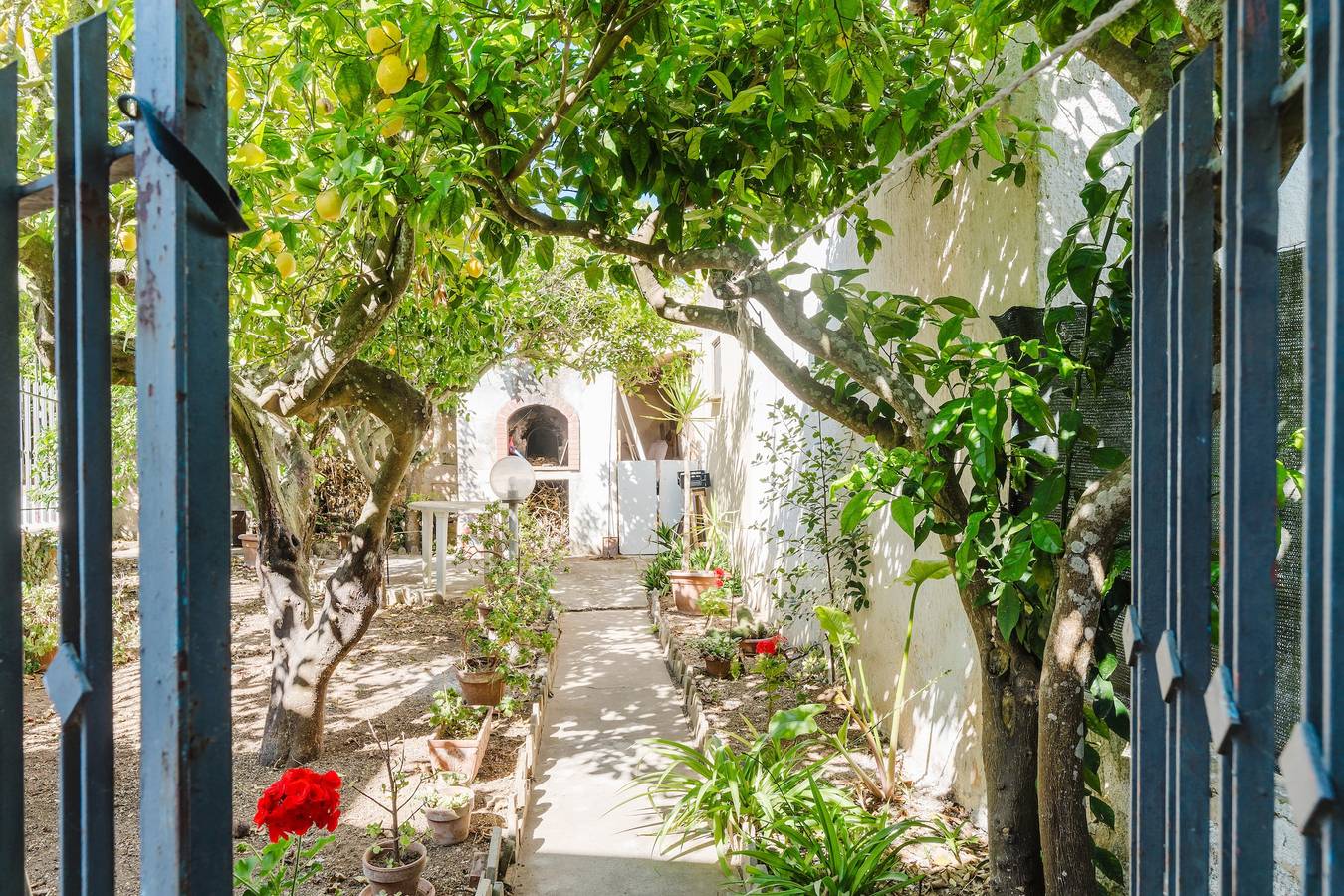 Ganze Wohnung, Ferienwohnung 'Vittorio Stella' mit Meerblick, privater Terrasse und Klimaanlage in Valderice, Trapani Provinz