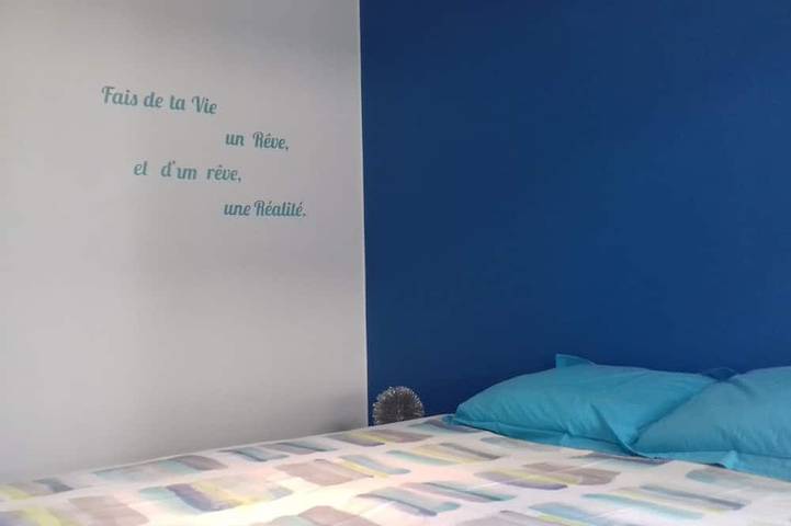 Ganze Wohnung, Delightful T2 (45m2) Chambery Zentrum in Chambéry, Chambéry und Umgebung