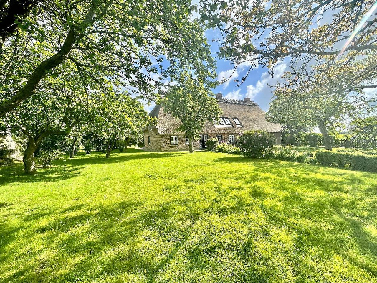 Ganze Wohnung, Süd - Kamin, Duschbad, Terrasse, Pkw-Stellplatz, strandnah, kinderfreundlich in Hasselberg, Schleswig-Flensburg