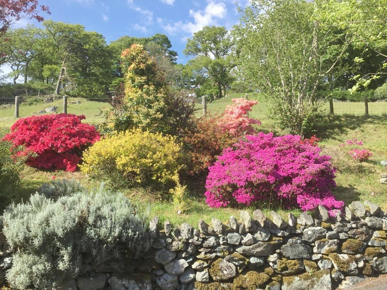 Heulwen Guest House in Snowdonia