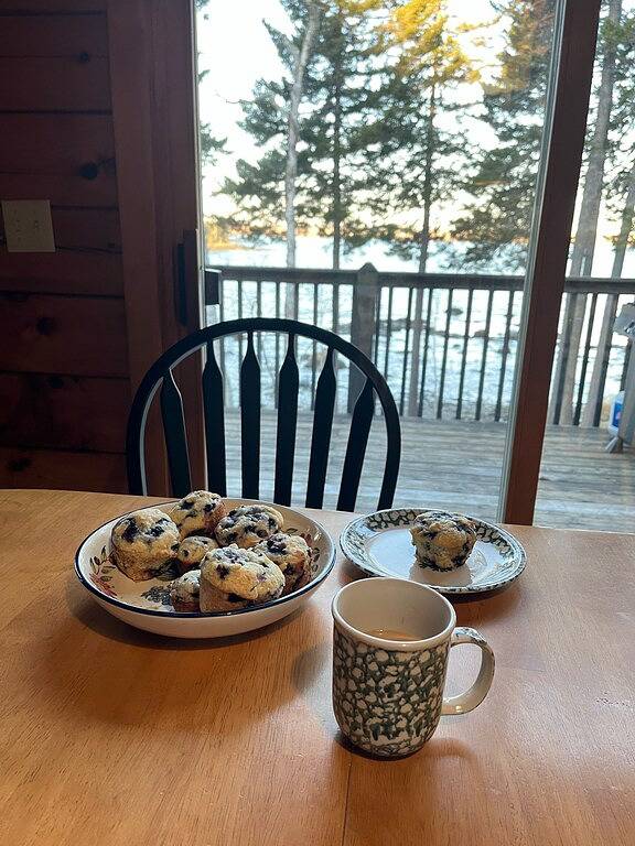 Bar Harbor Oceanfront Log Cabin 10 min to Acadia National Park in Acadia Nationalpark