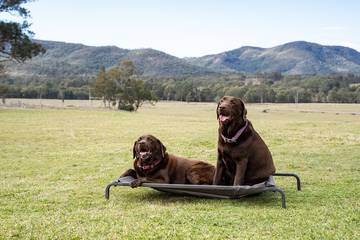 Chalet für 17 Personen in Hunter Valley, New South Wales, Bild 1