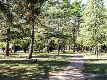 Studio for 2 People in Canberra, New South Wales, Photo 1