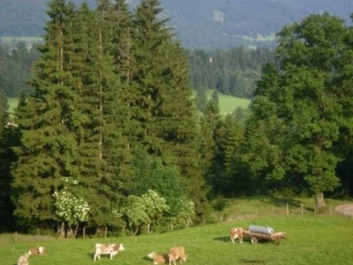 Ferienhaus für 6 Personen, mit Balkon und Terrasse sowie Garten und Ausblick in Fischbachau - 3