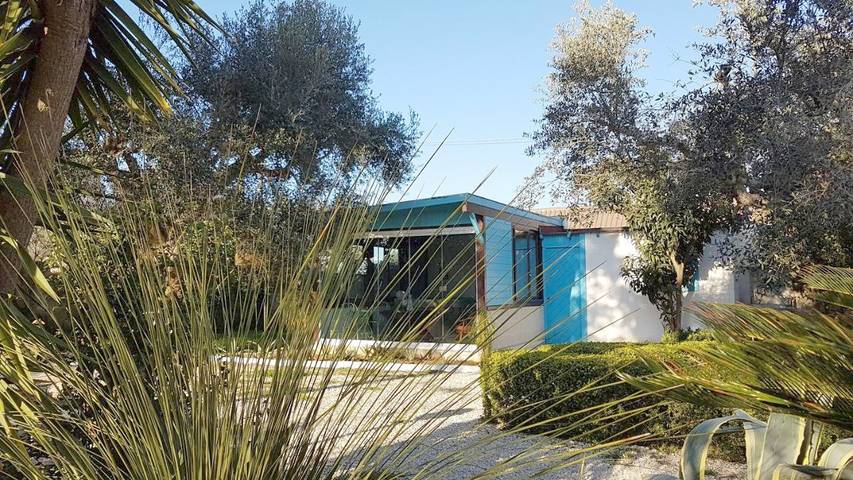 Location de vacances pour 4 personnes, avec vue ainsi que piscine et jardin, animaux acceptés à Copertino - 2