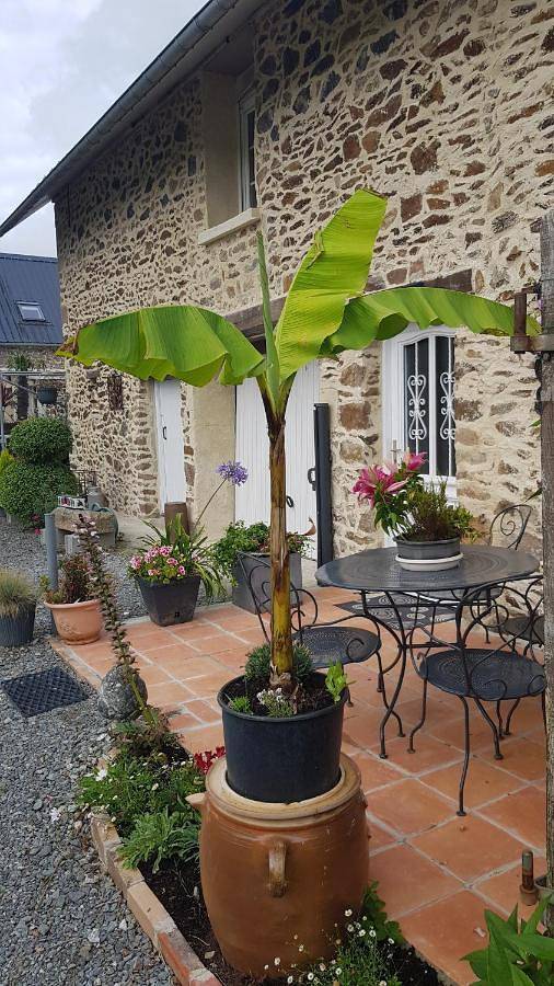 Casa de vacaciones para 6 personas, con jacuzzi y terraza - 1