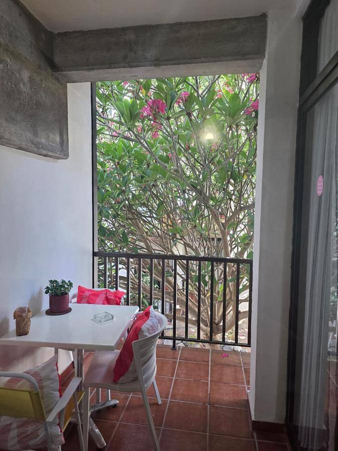 Apartamento para 3 personas, con piscina además de vistas y terraza, Se admiten mascotas en Playa de Santiago