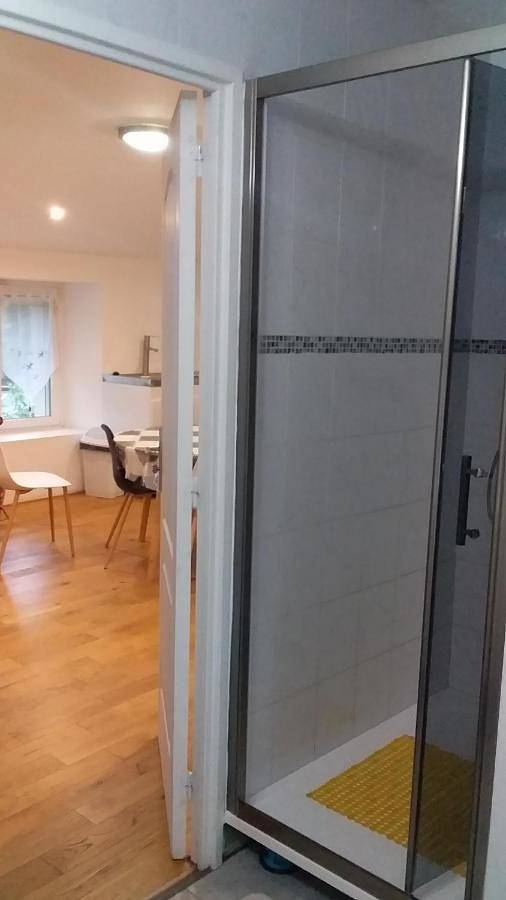 Gîte pour 4 personnes, avec jardin et vue à Saint-Genest-Lerpt - 3