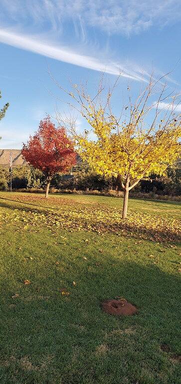 Relax Hike Bike Genießen Sie es! in Oak Creek, Oak Creek Canyon