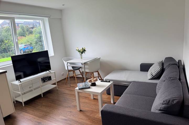 Entire apartment, Peaceful Stavanger Apartment with Private Entrance & Free Parking in Hinna, Stavanger