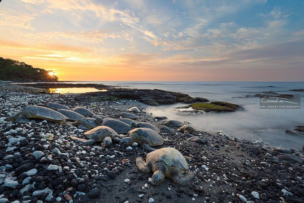 ʻohana Hale in Puako! Atemberaubende Aussicht auf Mauna Kea, nur wenige Schritte vom Strand entfernt, privat. in Puako, Kohala