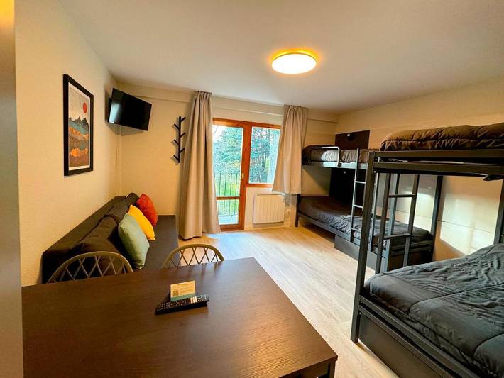 Location de vacances pour 5 personnes, avec vue et piscine, animaux acceptés dans Formigal - 4