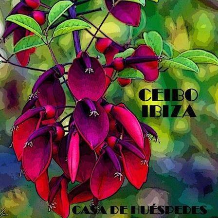Ceibo Ibiza - Guest House in Dalt Vila, Ibiza Stadt