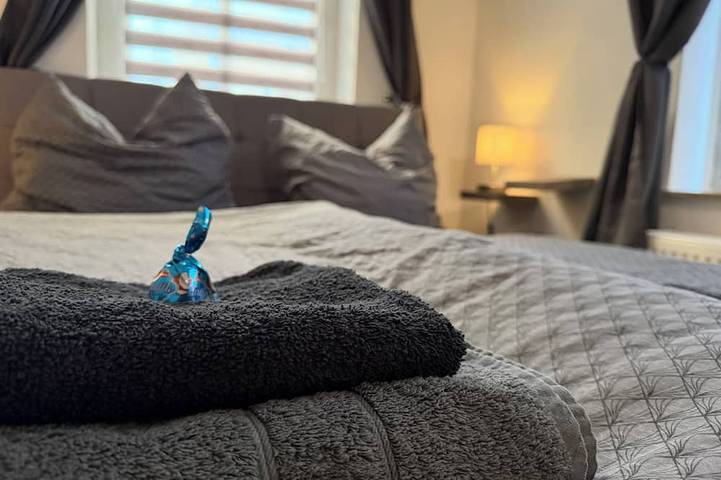 Ganze Wohnung, Top2 Gemütliche Ferienwohnung mit Kamin und Fitnessstudio. Ruhiger Innenhof in Plauen, Chemnitz und Umgebung