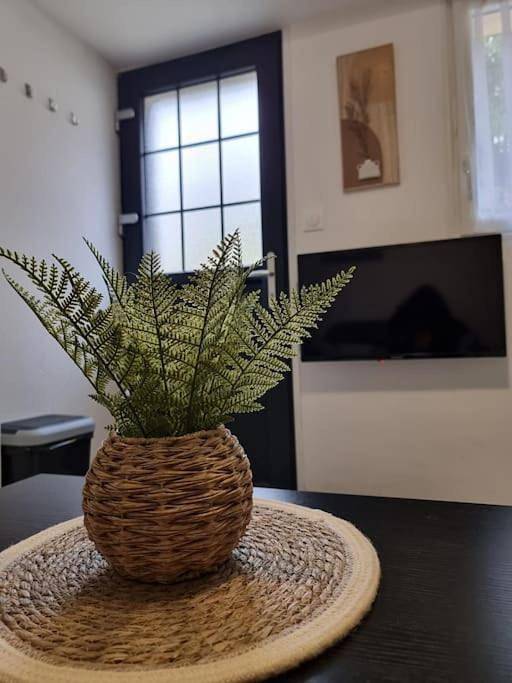 Gîte pour 2 personnes, avec terrasse à Saint-Pierre-des-Corps - 3