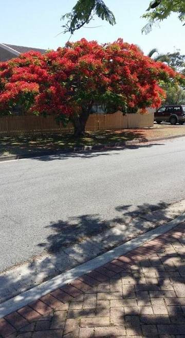 Chambre d’hôte pour 2 personnes, avec vue et jardin à Brisbane