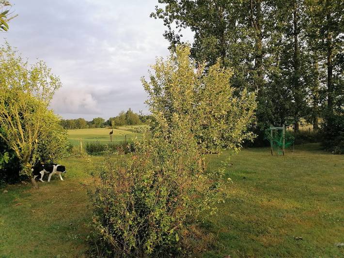 Gîte pour 4 personnes, avec terrasse en Ille-et-Vilaine - 4