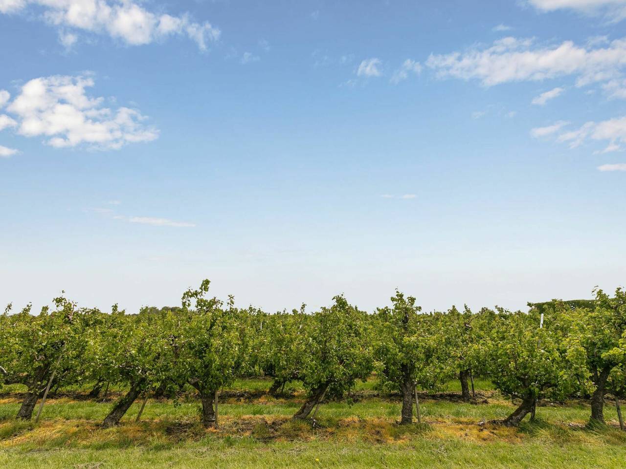Groepswoning de Appelgaard - Groepswoning de Appelgaard 200.1 in Seeländisch Flandern