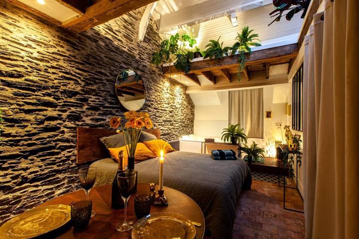 Chambre d’hôte pour 2 personnes, avec jacuzzi à Angers - 4