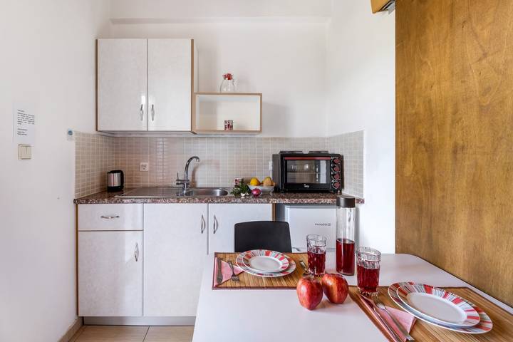 Entire studio, Apartment "Studio Rea" with Sea View, Garden & Wi-Fi in Vasiliki, Greece