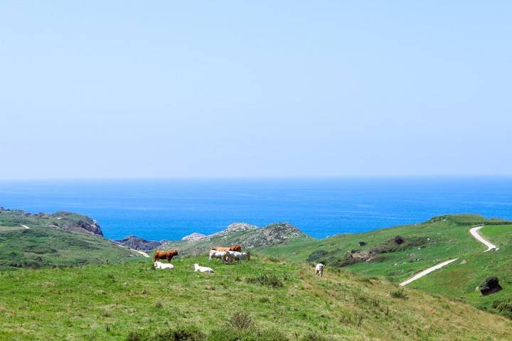 Gîte pour 4 personnes, avec jardin et vue à Santillana del Mar - 3
