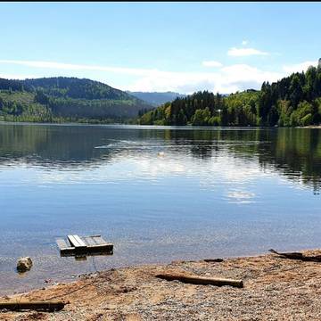 Pension für 3 Personen in Titisee-Neustadt, Schwarzwald, Bild 3