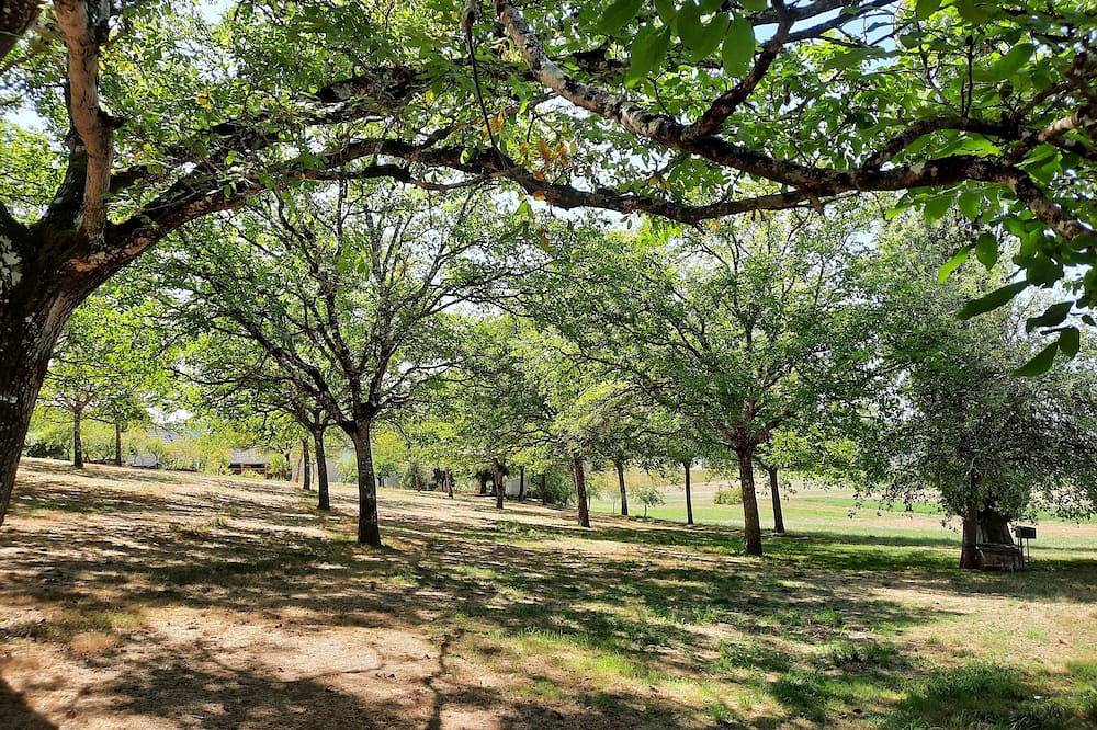 Location De Vacances pour 8 Personnes dans Montignac, Périgord Noir