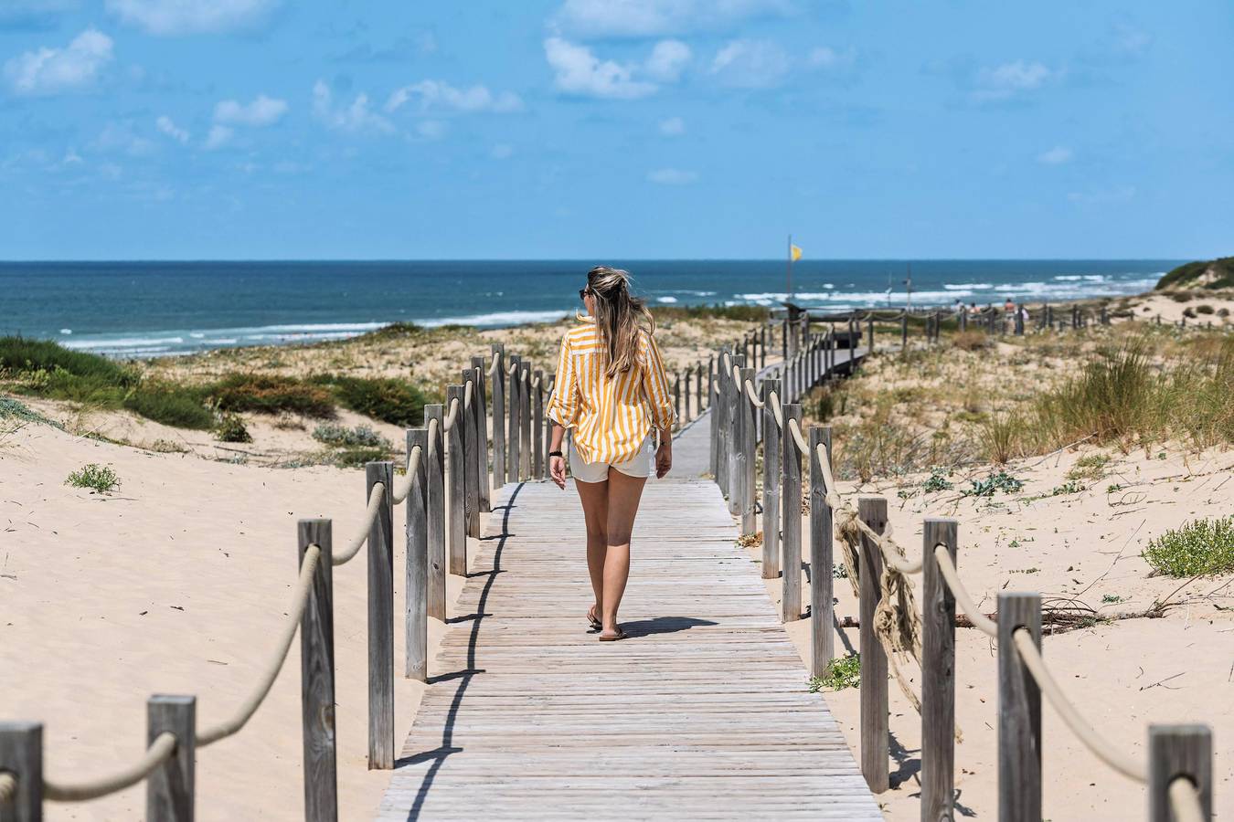 Appartement entier, Appartement Classique 1 Chambre 4 Personnes Terrasse in Seignosse Océan, Seignosse