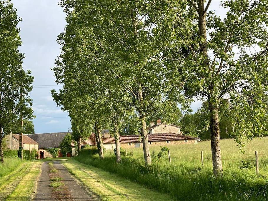 Five-Bedroom House in La Bussière, Vienne (France)