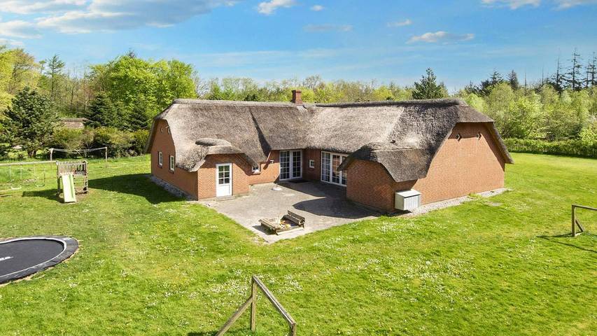 Ferienhaus für 13 Personen, mit Sauna und Terrasse sowie Whirlpool und Pool in Vester Husby