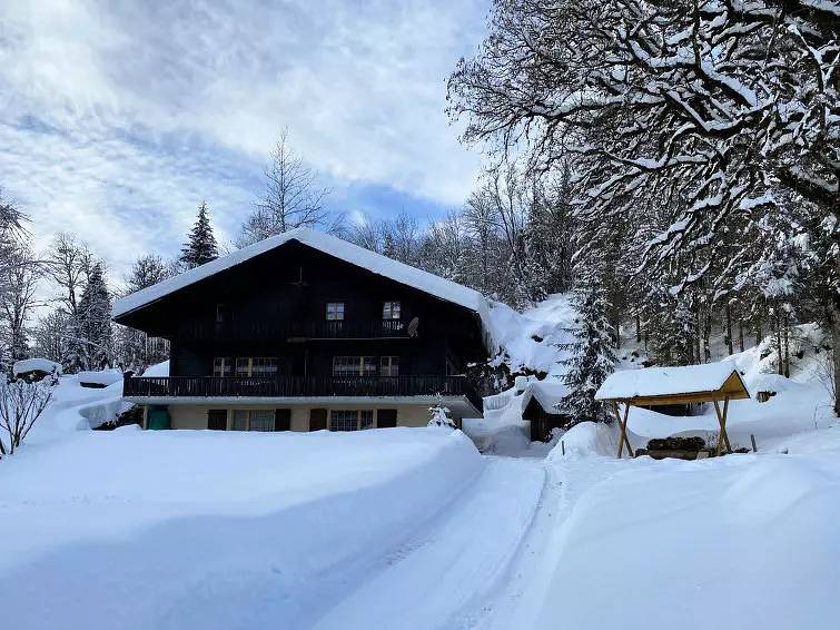 Ganze Wohnung, 2 Pièces 2 Personnes in Vers-l'Église, Ormont-Dessus (Les Diablerets)