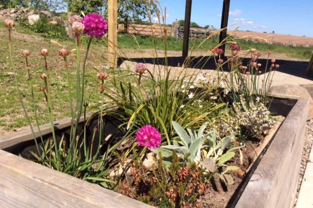 Idyllic location; sleeps 2; accessible; wood burner; dog friendly (pet fee) in Perthshire