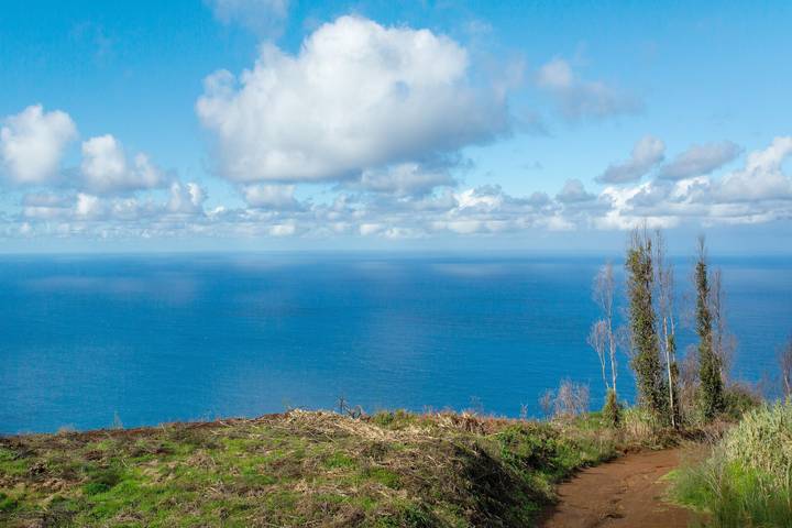Villa pour 5 personnes, avec jardin sur l' Île de Madère - 2
