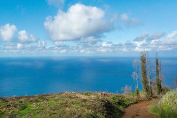 Villa para 5 Pessoas em Achadas da Cruz, Madeira, Foto 1