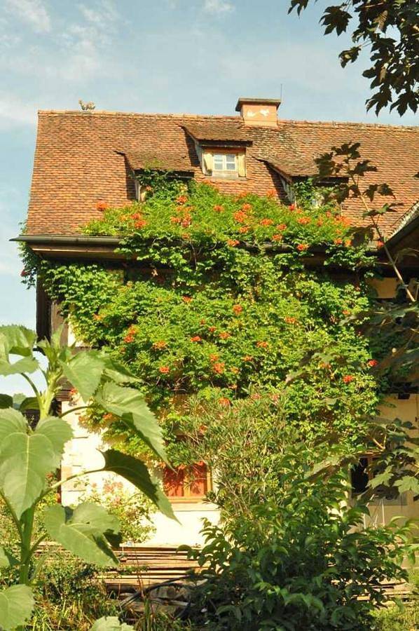 Ferienwohnung für 2 Personen, mit Terrasse und Garten in Breuberg - 4