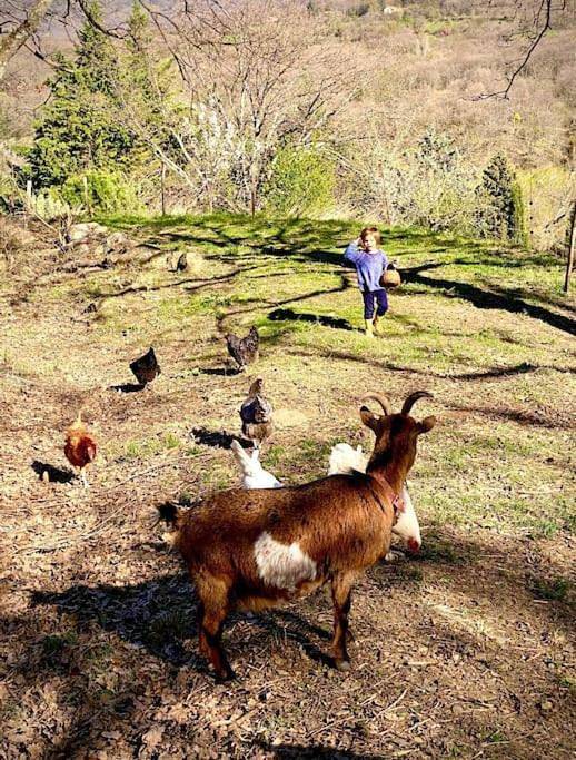Location de vacances pour 4 personnes, avec piscine et vue à Lussas - 2