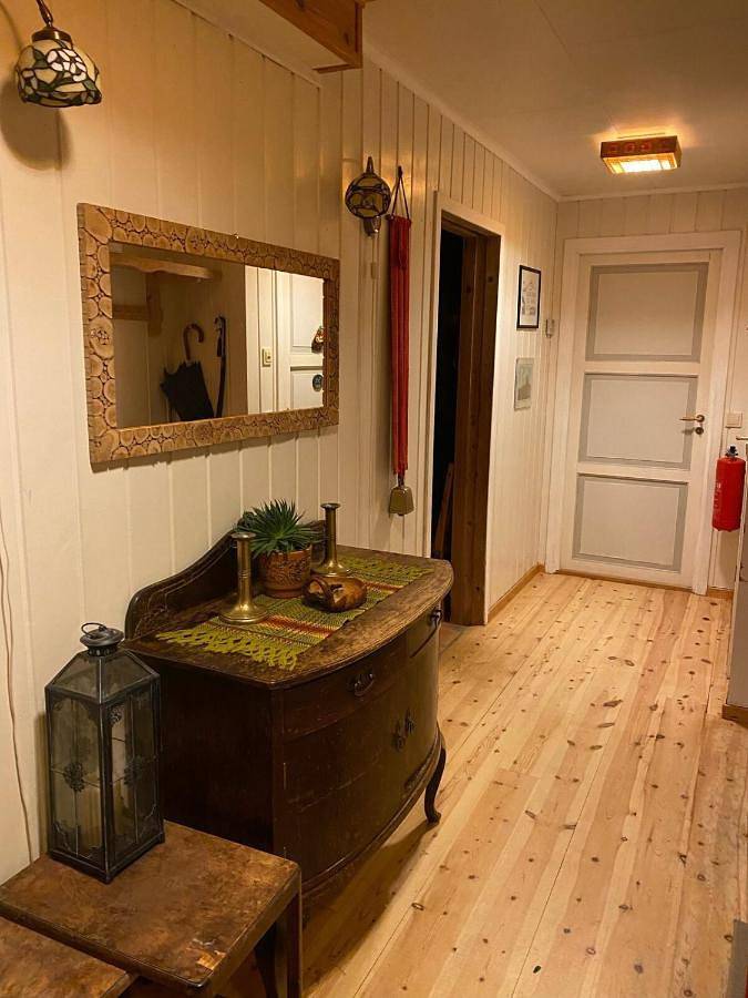 Location de vacances pour 10 personnes, avec vue ainsi que terrasse et vue sur le lac, animaux acceptés dans Tolga - 3