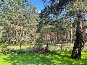 Ferienhaus für 4 Personen in Neu Zauche, Spreewald, Bild 4