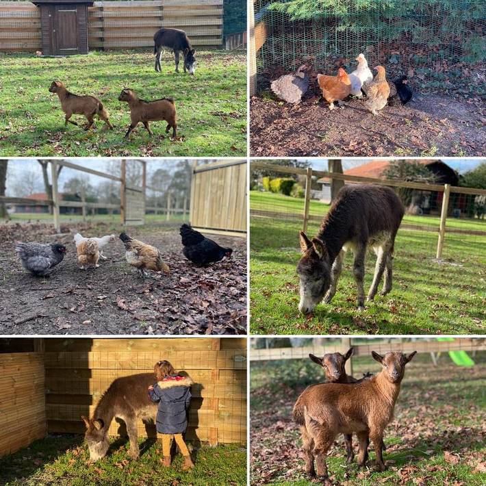 Location de vacances pour 10 personnes, avec vue ainsi que piscine et jardin à Azur - 4