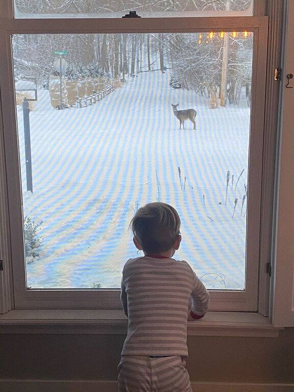 Vacation rental for 10 people, with yard in Saugatuck