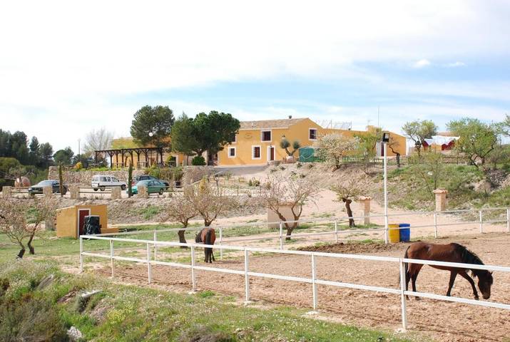 Apartamento para 2 personas, con Terraza y Jardín además de Piscina y Vistas en Biar
