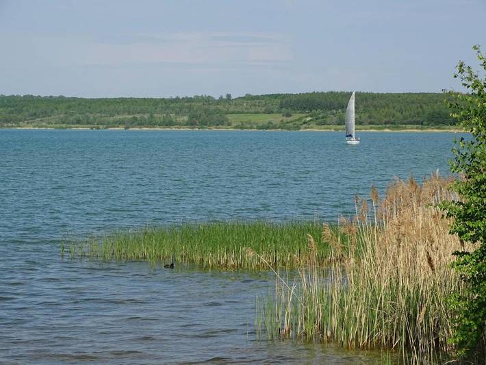Ferienwohnung für 3 Personen, mit Terrasse und Sauna sowie Seeblick und Ausblick am Störmthaler See - 4