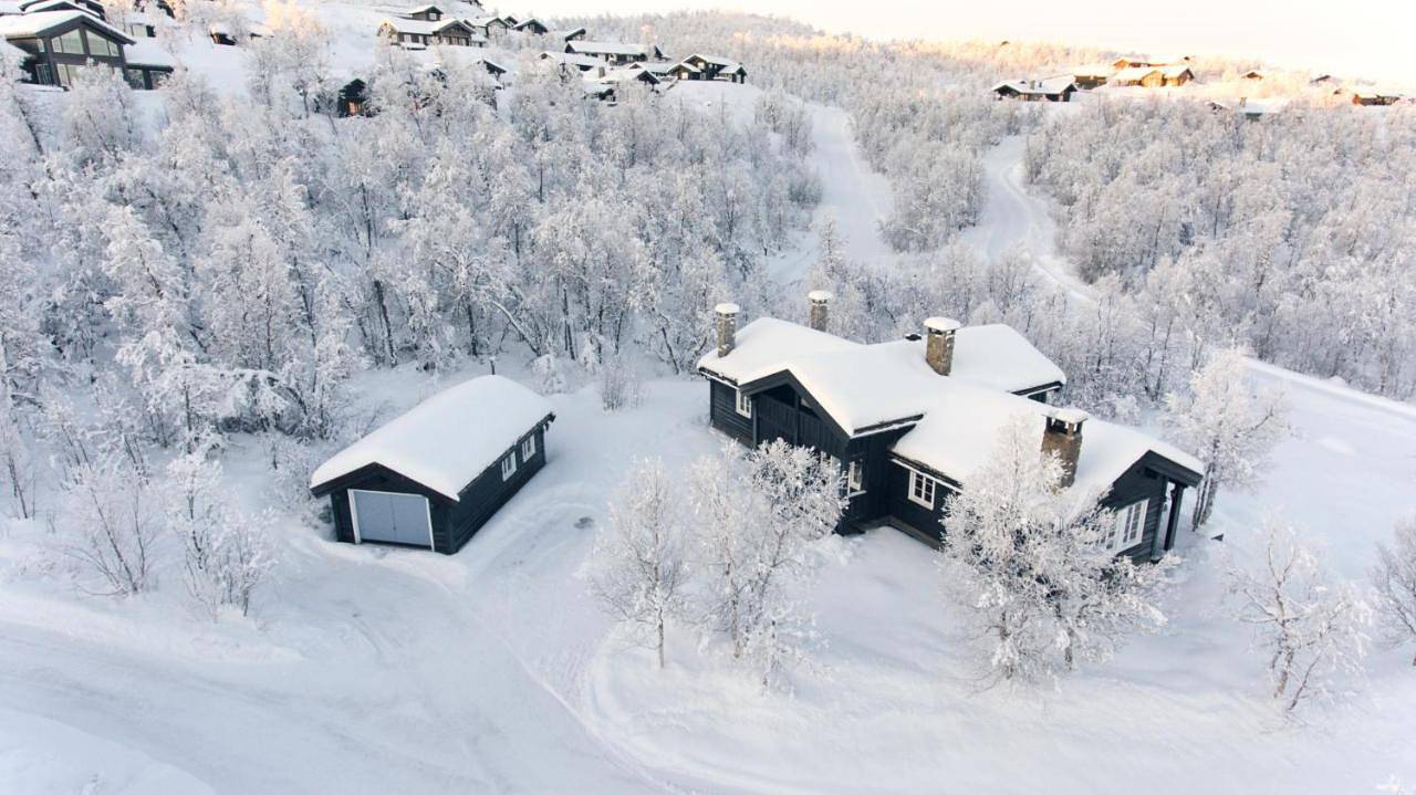 Lun og koselig hytte på fjellet, med badstu in Geilo, Hol