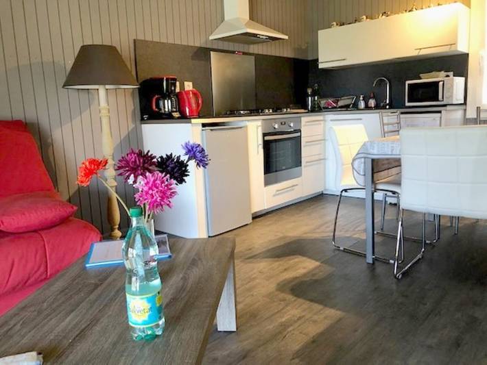 Location de vacances pour 5 personnes, avec sauna ainsi que jacuzzi et jardin, adapté aux familles à La Salvetat-sur-Agout - 4