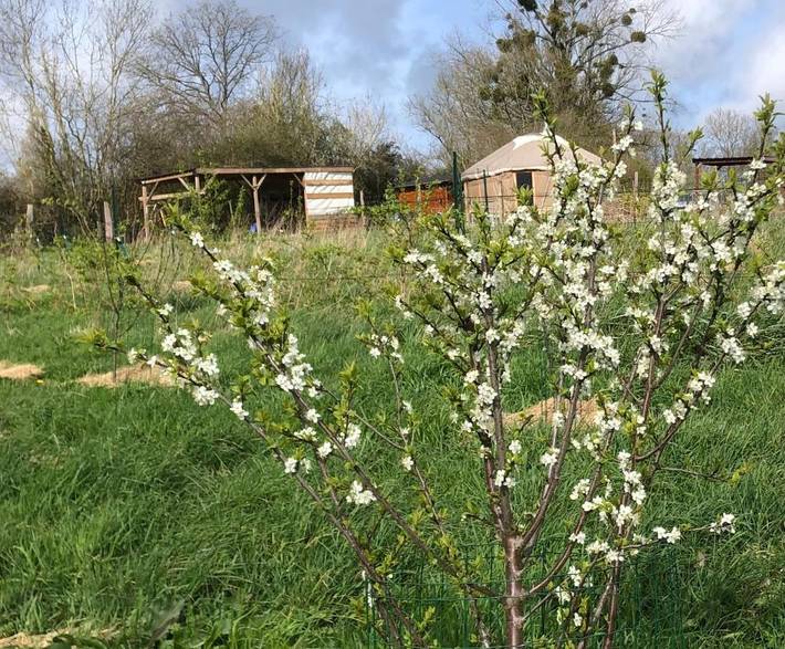 Chambre d’hôte pour 4 personnes, avec vue et jardin à Beaufour-Druval